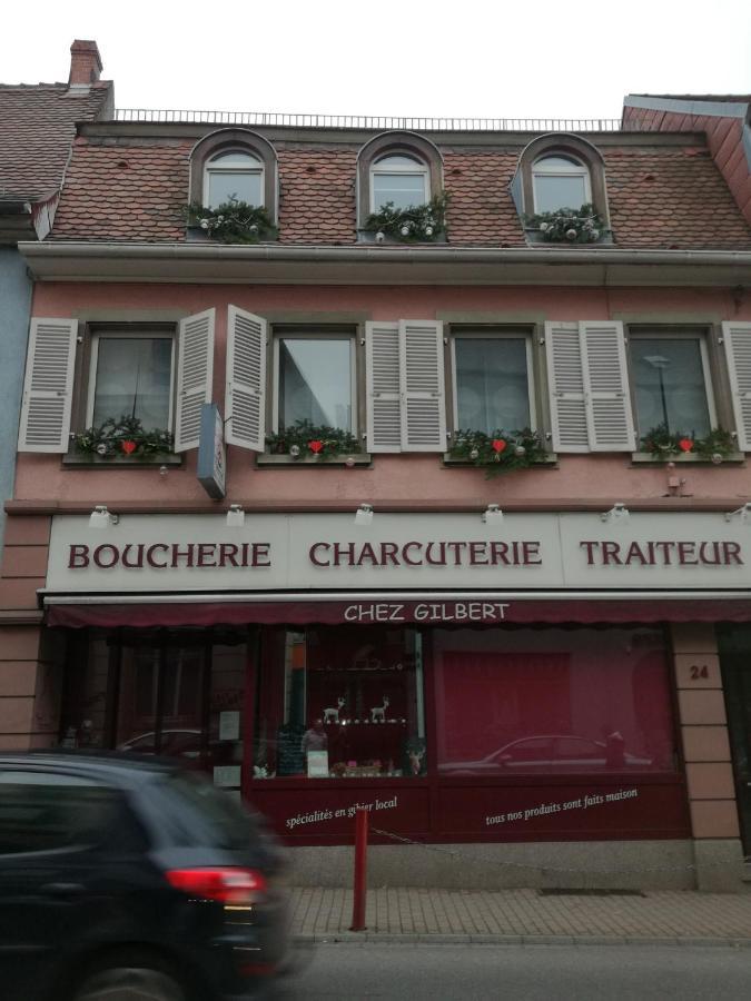 Spacieux Appartement Dans Le Centre De Munster Munster (Haut-Rhin) Exterior foto